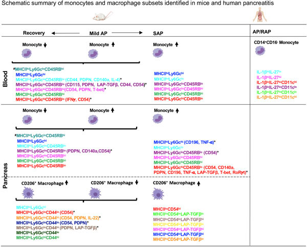 Figure 7: