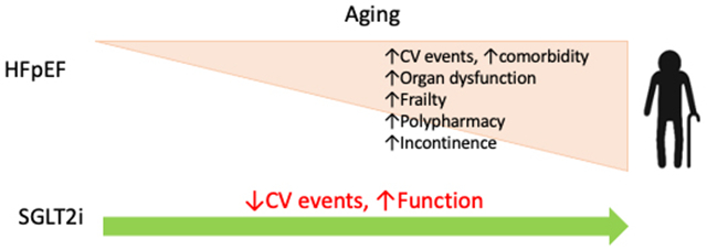 SGLT2 inhibitors in patients with HFpEF: how old is too old? - PMC