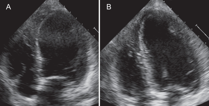 Figure 1)