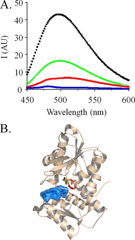 FIGURE 1.