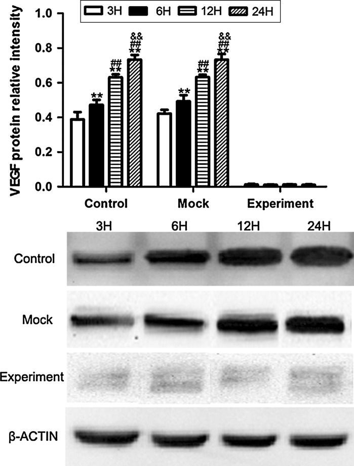 Fig. 6