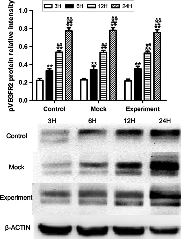 Fig. 8