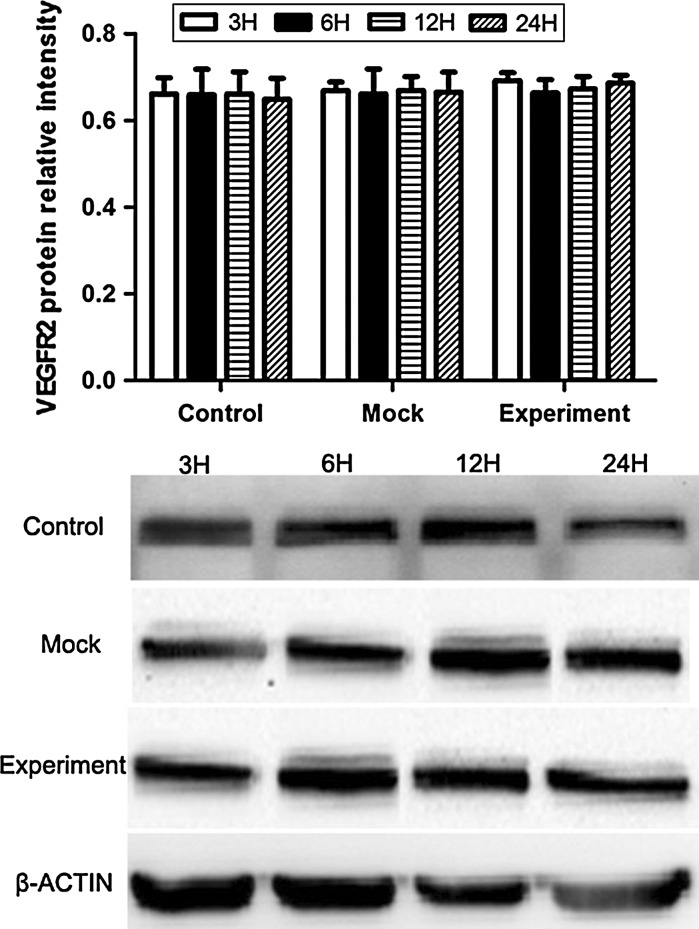 Fig. 7