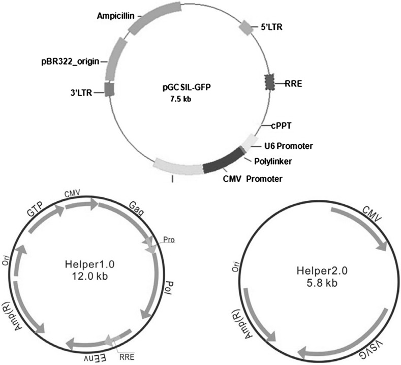 Fig. 2