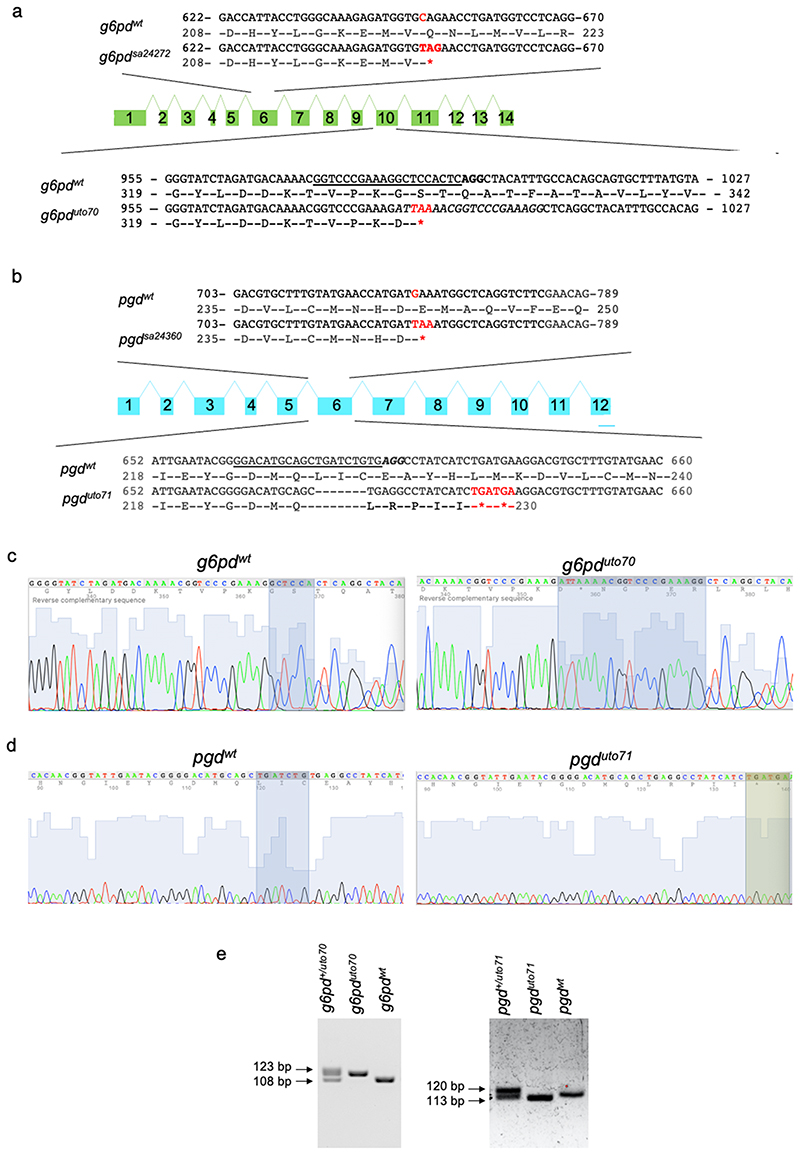 Extended Data Fig. 1