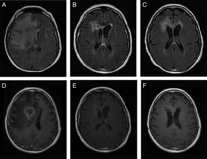 Fig. 2.