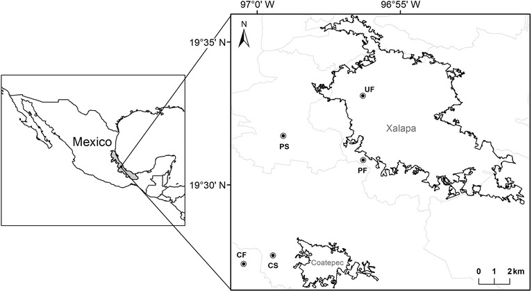 Fig. 1