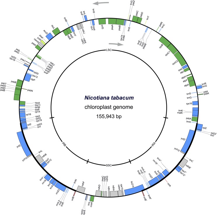 Figure 3.