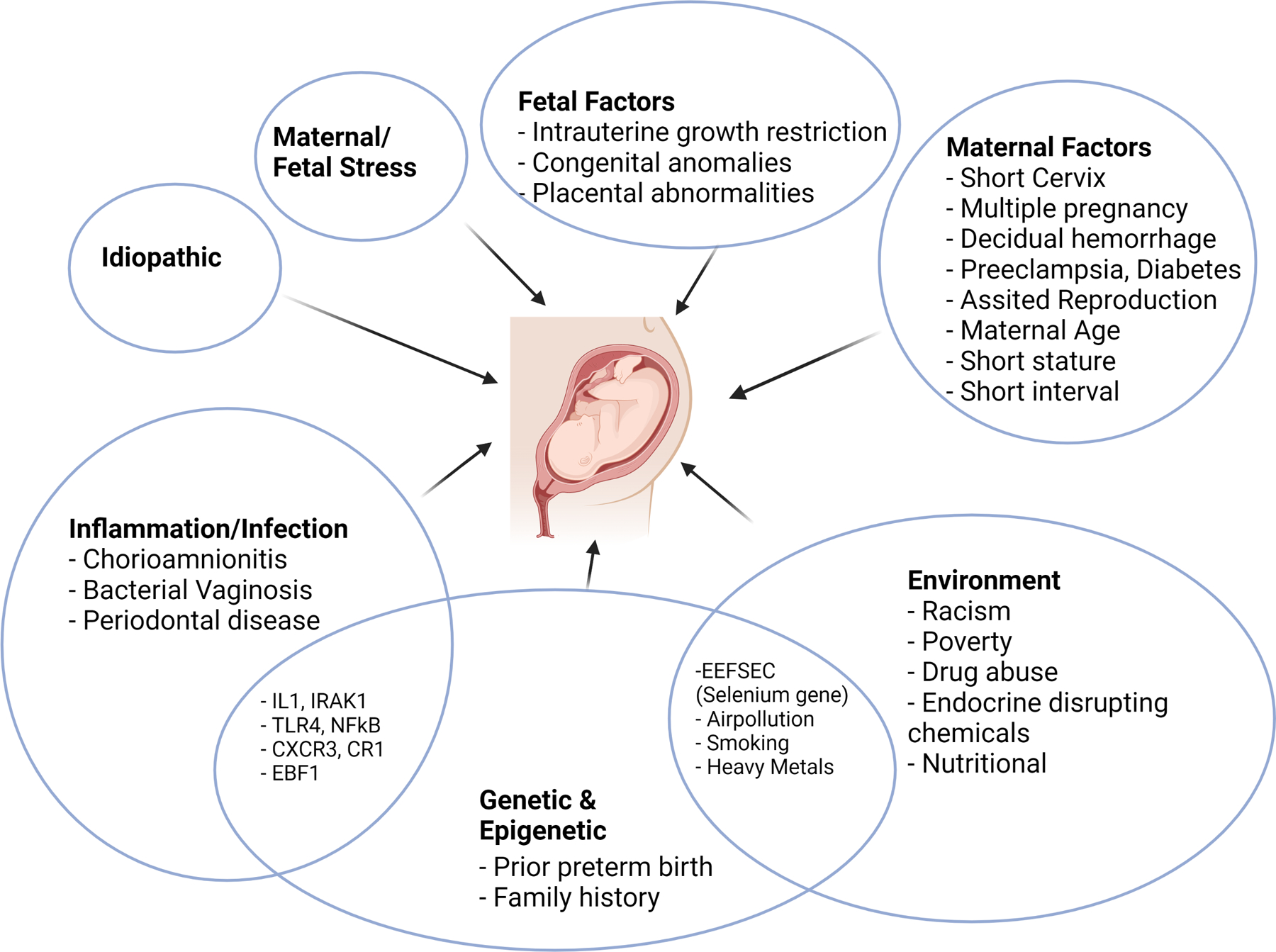 Figure 1: