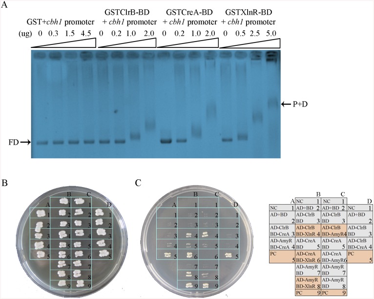 Fig 11