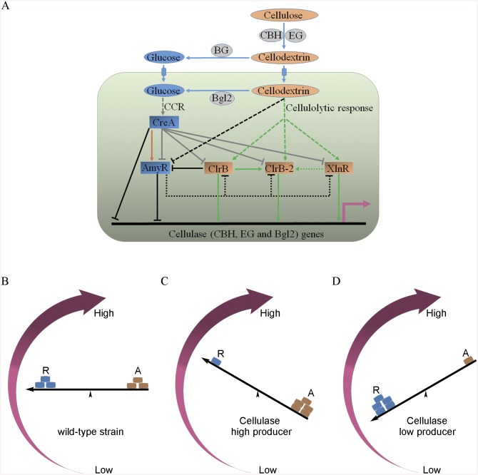 Fig 12