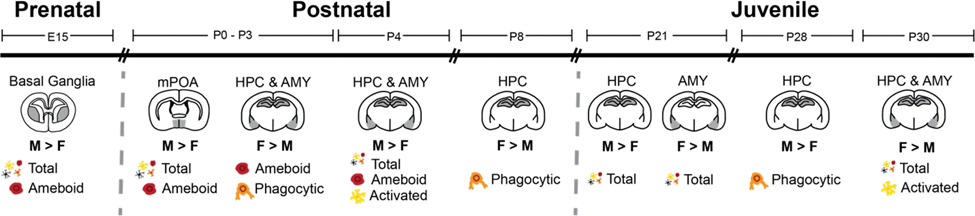 Figure 1: