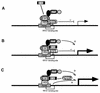 FIG. 7