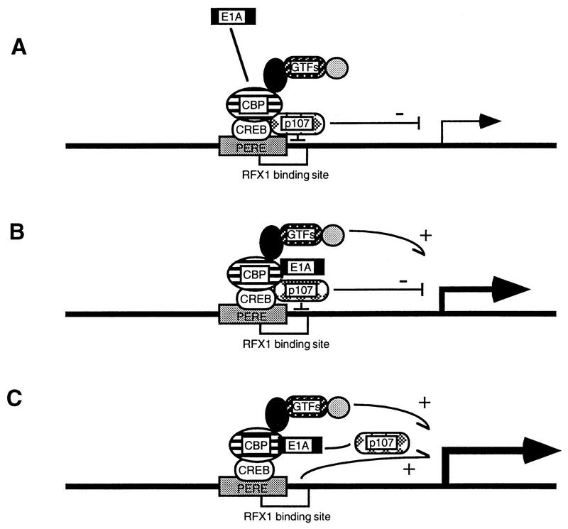 FIG. 7