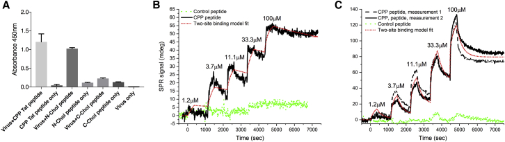 Figure 2