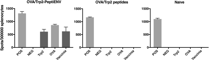 Figure 5