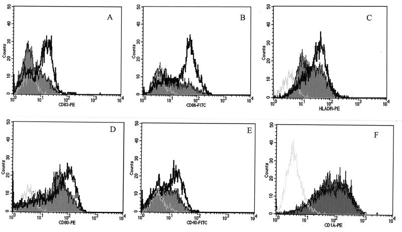 FIG. 5.