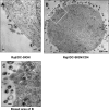 FIG. 6.
