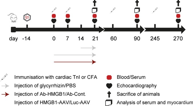 Fig. S1.