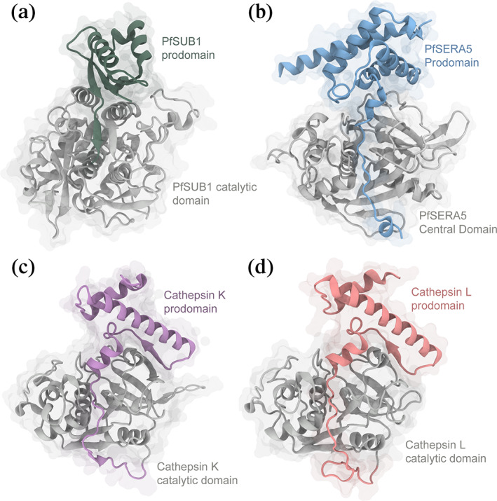 FIGURE 2