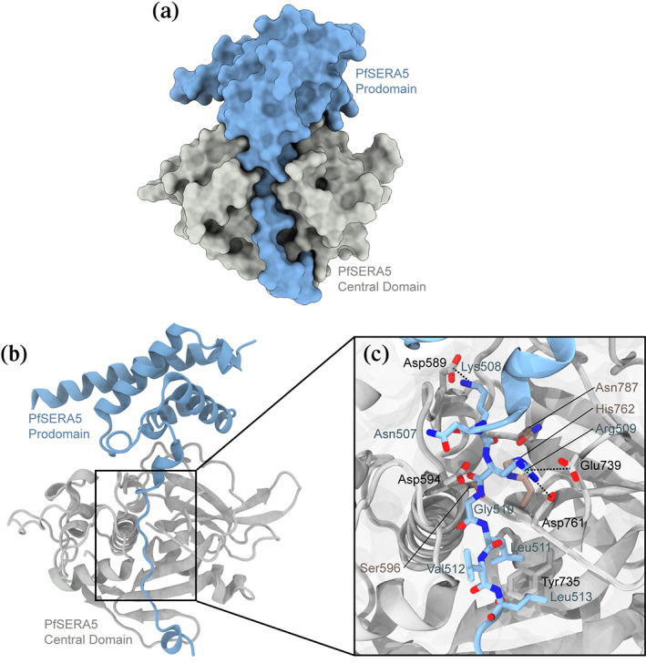 FIGURE 1