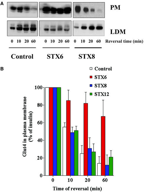 Figure 6.