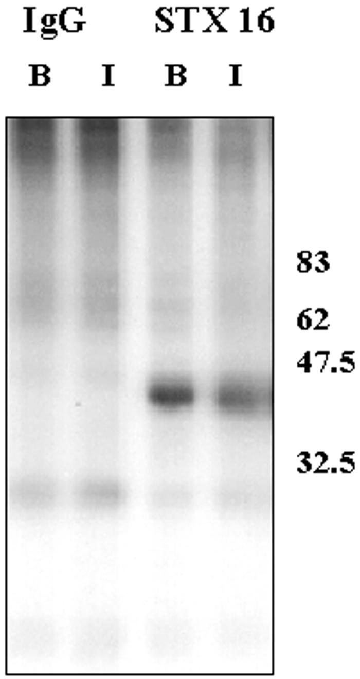 Figure 9.