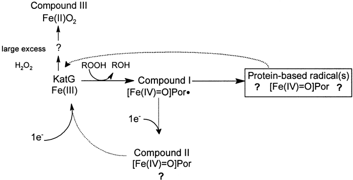 Scheme 1.