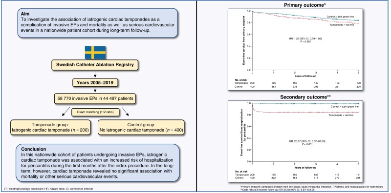 Graphical abstract