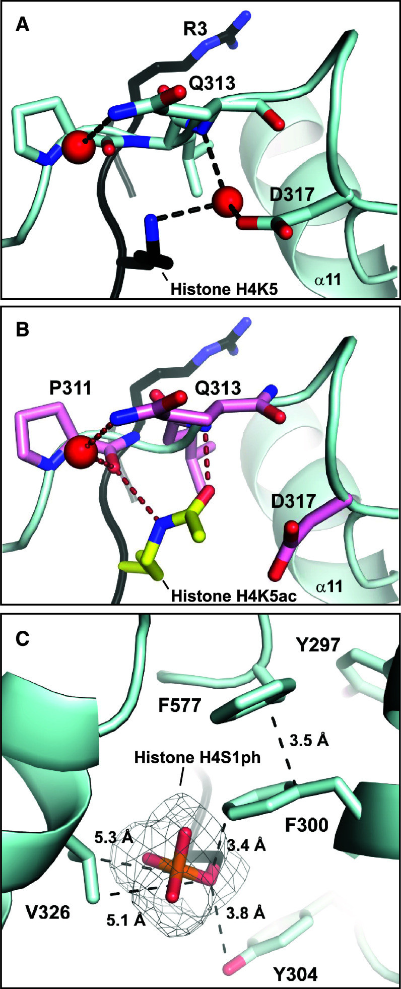 Fig. 6