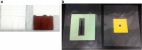 Fig. 3