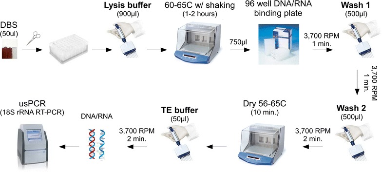 Fig. 1