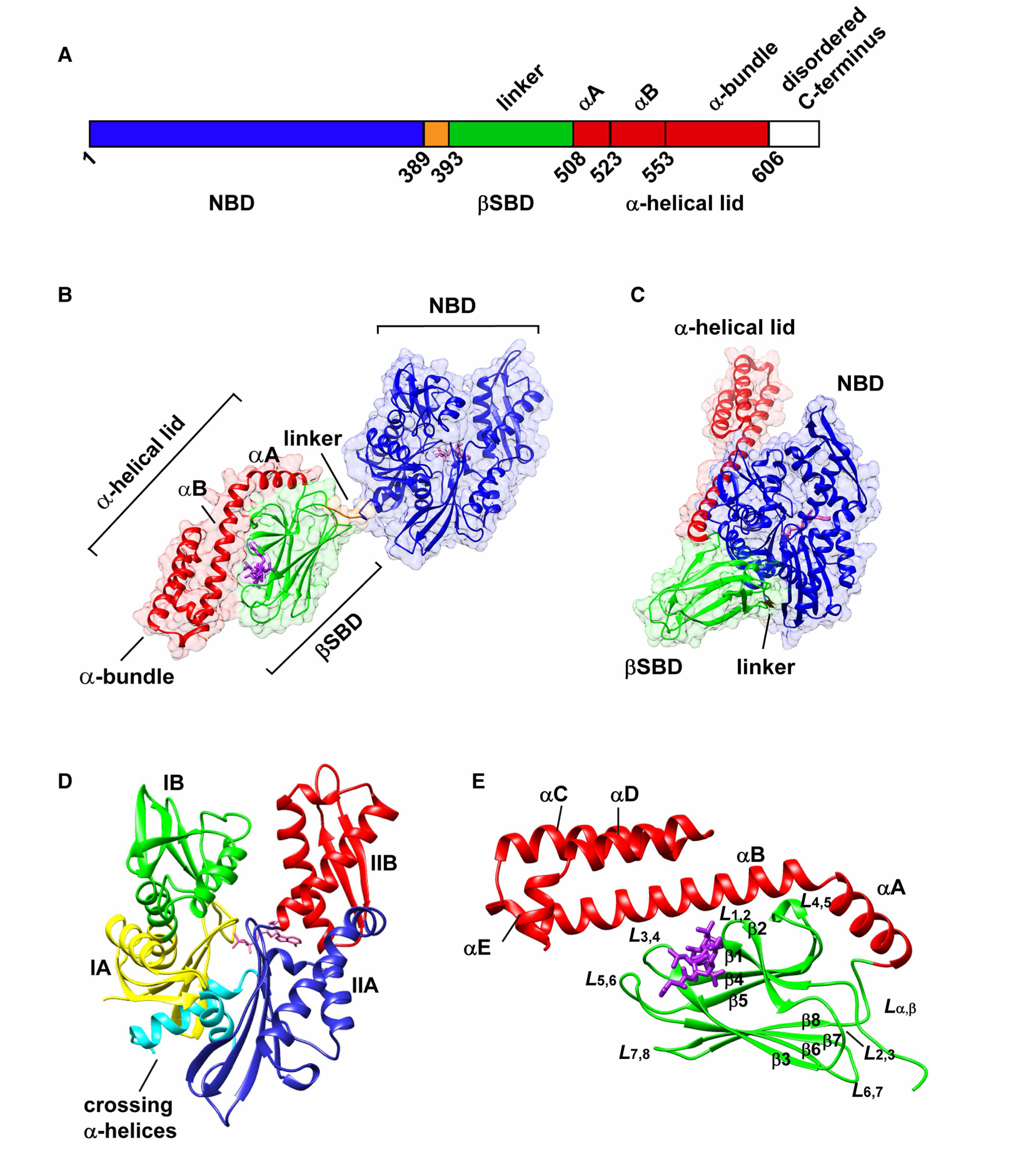 Figure 1.