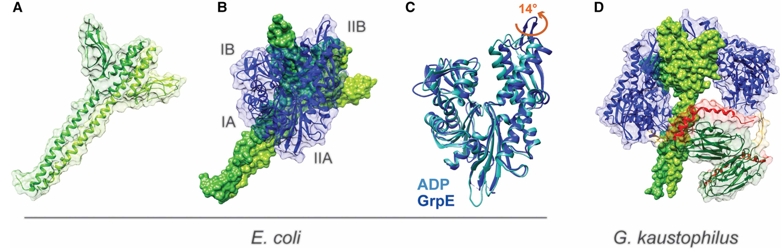 Figure 5.