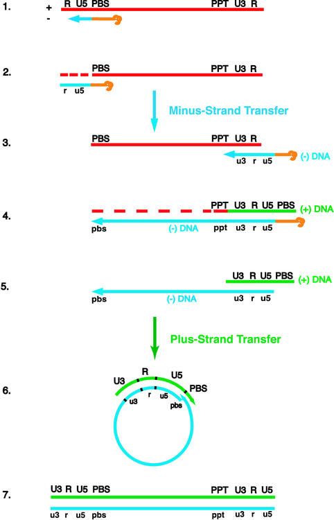 FIG. 1.