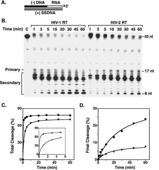 FIG. 5.