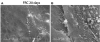 Fig. 12