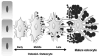 Fig. 15