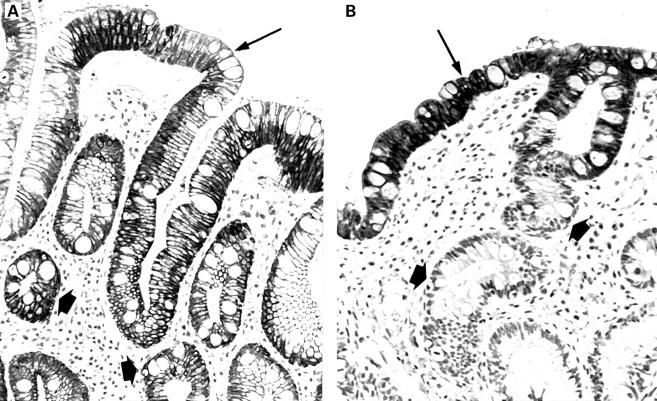 Figure 1  