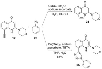 Scheme 2