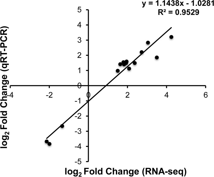 Fig. 13