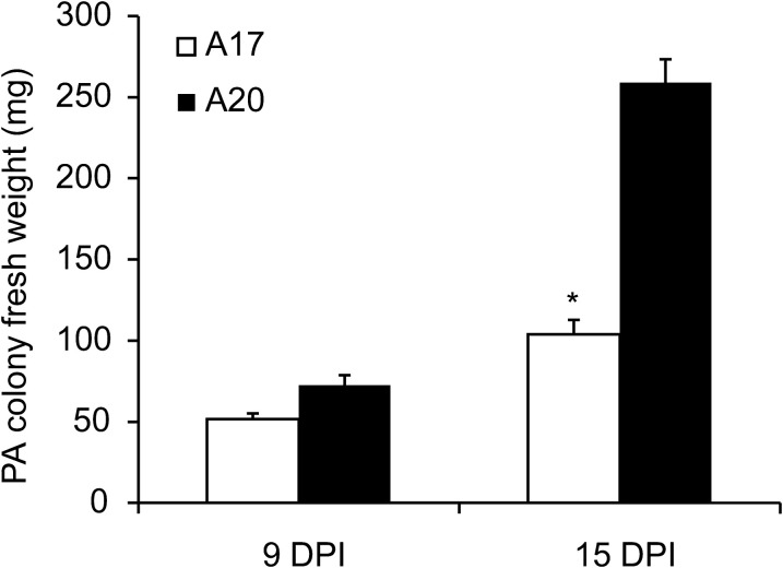 Fig. 2.