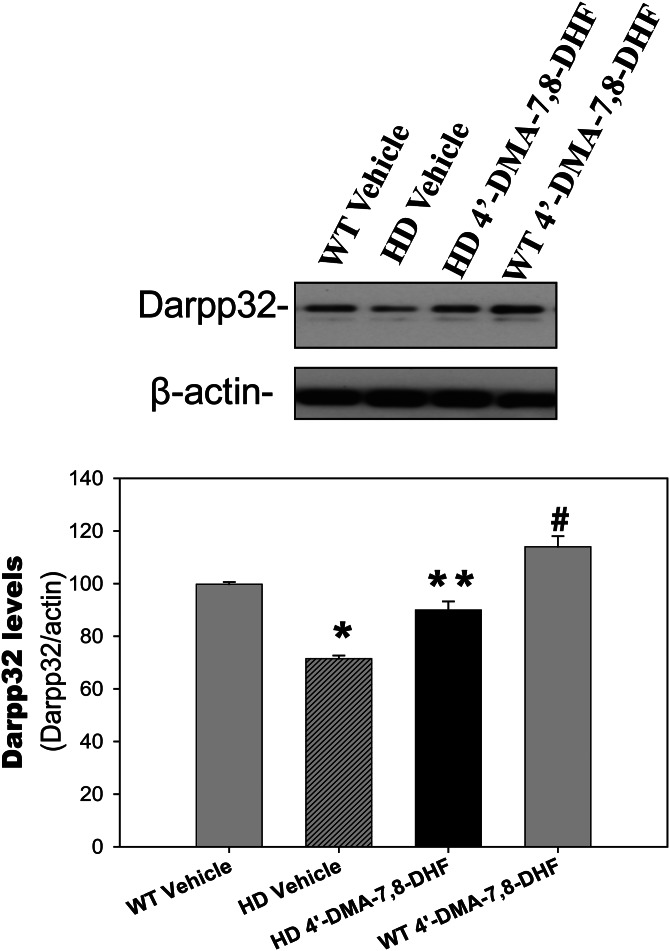 Figure 4.