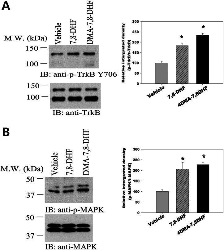 Figure 1.