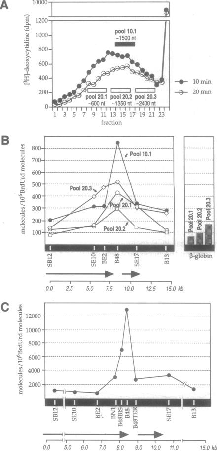 graphic file with name pnas01137-0416-a.jpg