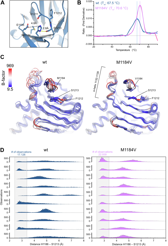 Figure 3