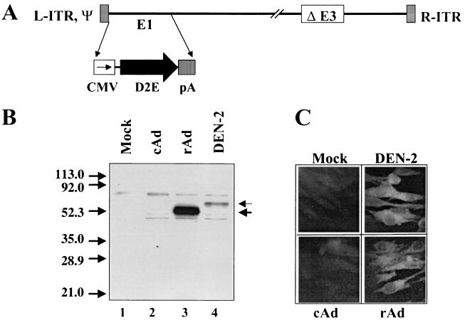 FIG. 1.