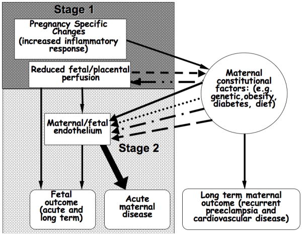 The Two Stage Model Of Preeclampsia Variations On The Theme Pmc