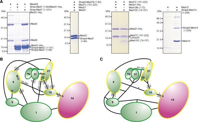 Figure 5.