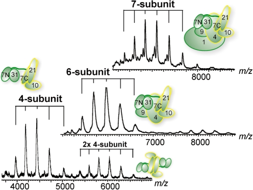 Figure 3.